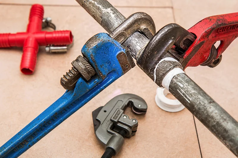 Schlaf: Die nächtliche Reparatur